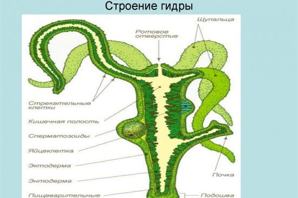 Как восстановить аккаунт в кракен